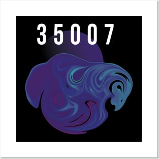 35007 Posters and Art